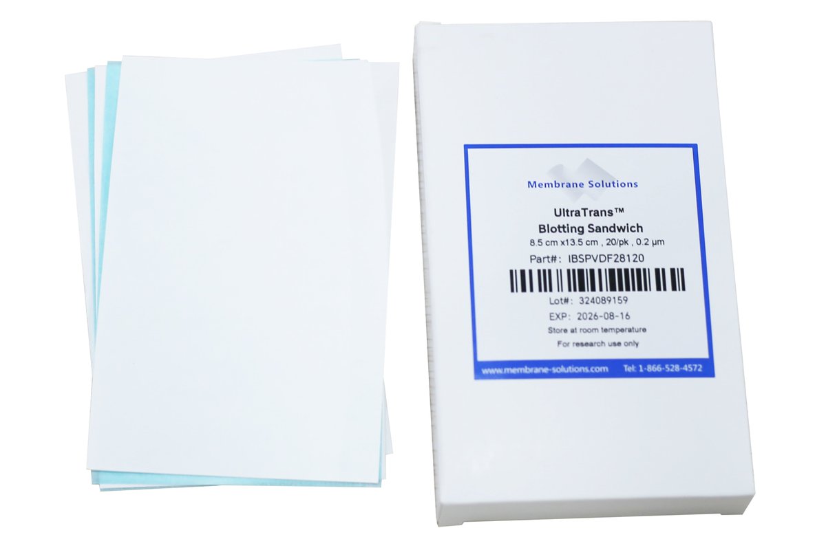 MSmembrane's tweet photo. Membrane Solutions provides PVDF transfer membranes and NC transfer membranes which are with high biomolecular binding power, providing excellent sensitivity and low background.
#MembraneSolutions   #DetectionAnalysis  #BiologicalLab #TransferMembrane #BlottingMembrane https://t.co/62lmQMJWvO