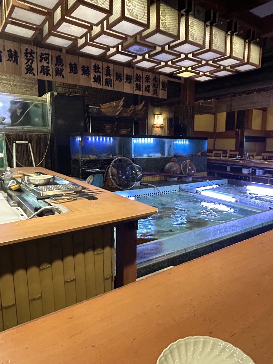 nemuineko222's tweet photo. 🦑 https://t.co/JgPEMYoq31