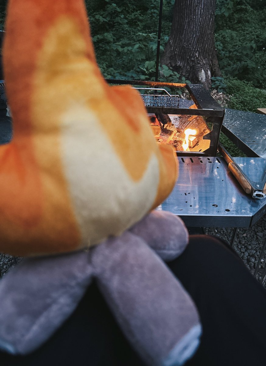 焚き火のぬいぐるみに焚き火を見せています