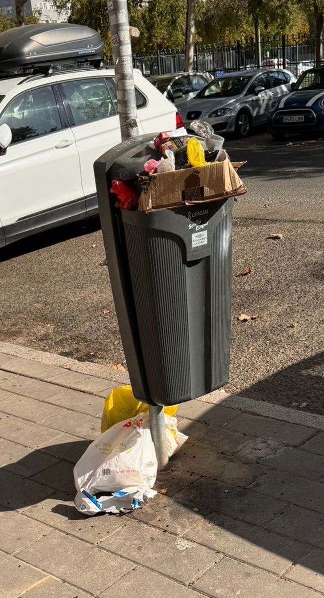 JuanToAragon's tweet image. Así se encuentra una papelera junto al nuevo centro cívico de Sevilla Este que mantienen cerrado y terminado desde el año pasado.

Resumen de la nefasta gestión de @jlsanzalcalde, más sucio que nunca y con los proyecto que dejamos @PSOEAytoSevilla paralizados