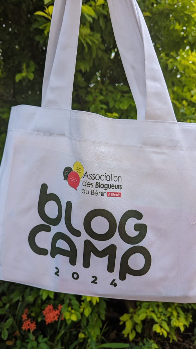 Vianney08583405's tweet image. #BlogCamp #Nati #2024 
Thème l'opposition digitale face à l'activisme pour les #DDSSR
#J1