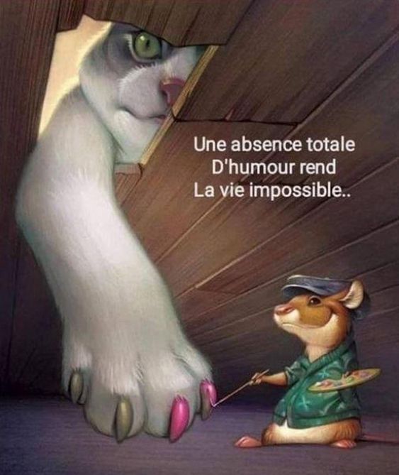 <a href="/CHATONParfait47/">CHATON CITOYEN Parfait...🇨🇵🇨🇵</a> Abonnez vous à <a href="/CHATONParfait47/">CHATON CITOYEN Parfait...🇨🇵🇨🇵</a> ,il est très drôle ,l'humour ça fait du bien 😹😹😹😻😻😻❤️