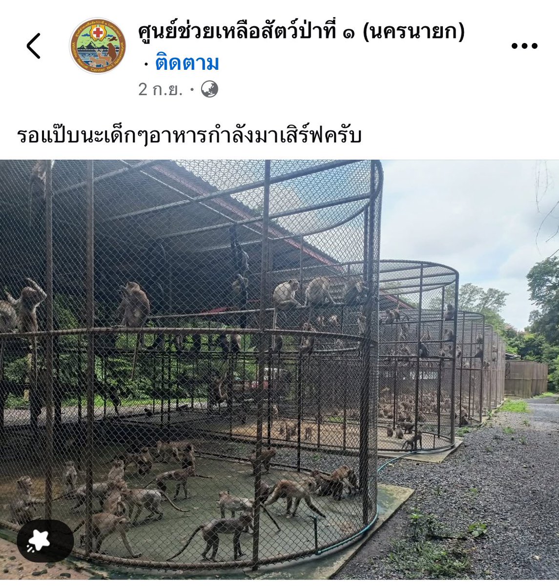 arruauge's tweet photo. ขออนุญาตใช้พื้นที่ฝาก 
“ศูนย์ช่วยเหลือสัตว์ป่าที่ 1 นครนายก” 
น้องๆ ส่วนใหญ่เป็นสัตว์ของกลางที่ถูกยึดมา ทางศูนย์ยังต้องการอาหารสัตว์จำนวนมาก น้องๆน่ารัก สามารถเข้าเยี่ยมชมได้นะคะ🥺👐 https://t.co/41sLguznNJ