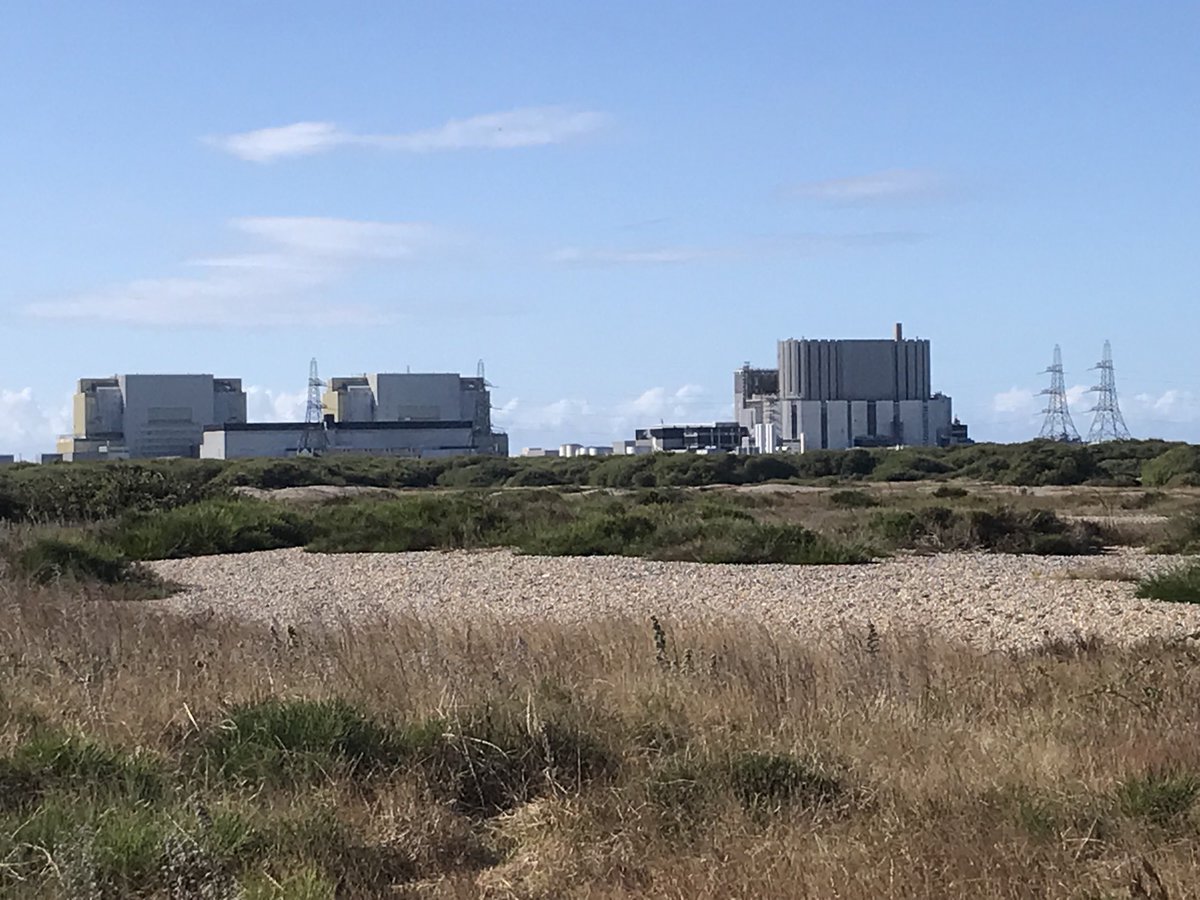 palestrina tweet media