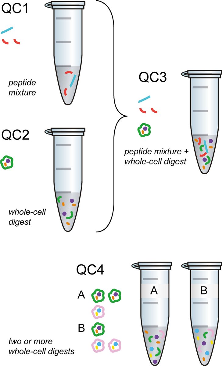 Quality Control in the Mass Spectrometry Proteomics Core: A Practical Primer · Journal of Biomolecular Techniques jbt.pubpub.org/pub/fid694bn/r…

---
#proteomics #prot-paper