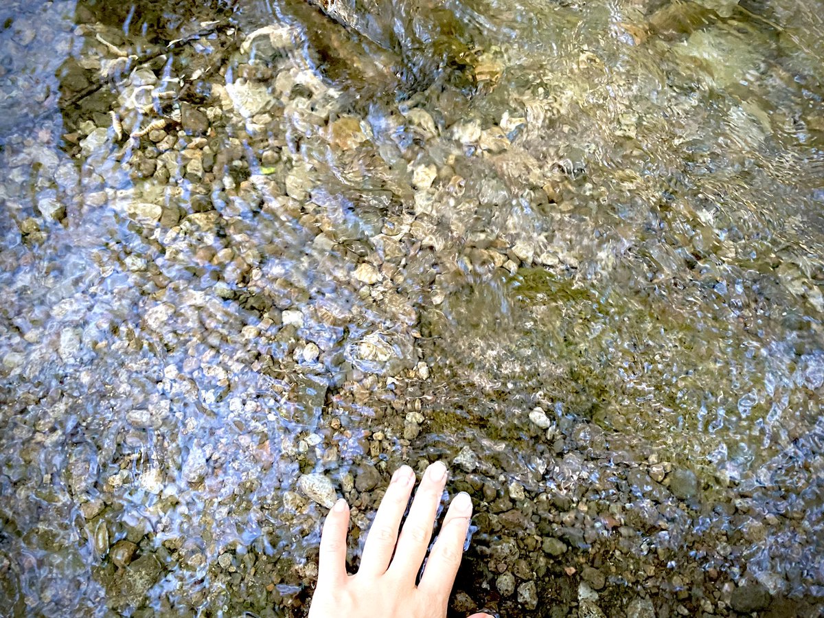saccccha_n's tweet photo. 仕事の用で夕方女神湖に。

なにこの絶景。クリーンな空気。

一日中仕事でガチガチになってた心身ともに細胞ごと浄化された… https://t.co/UzyXpe2G5q