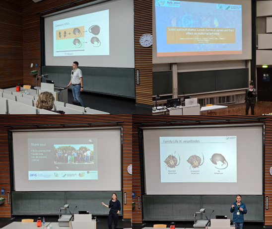 Sandra Steiger tweet media