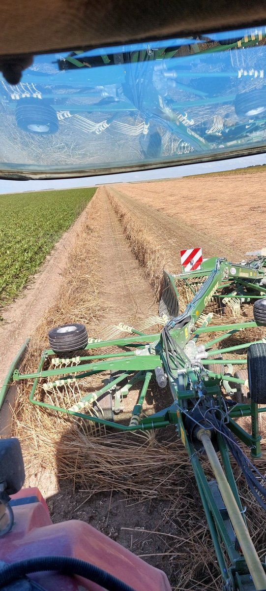 Choiselat Frédéric 🌻🍭🌿...🐝🐞 tweet media