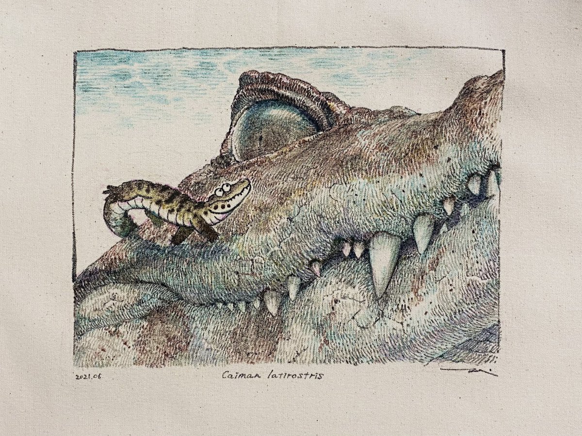 過去の写真を突然おすすめしてくるiPhoneさんからおすすめされた写真、今見ると意外と色使えてんじゃん…って思えた。2021年……