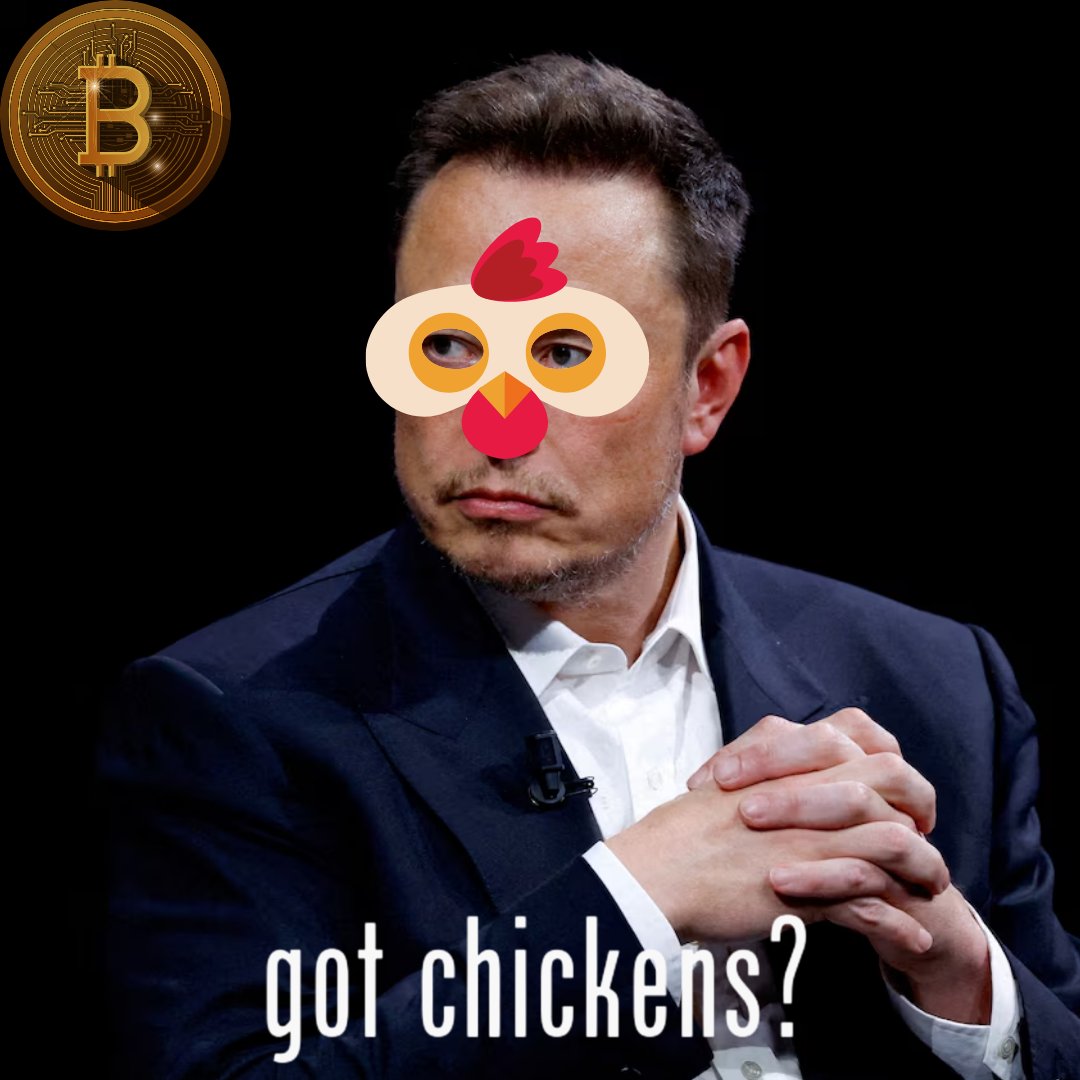 BTCchickens's tweet photo. @elonmusk And if you want to preserve luxury, it's time for a #BTC Chicken, ser. 🐔 https://t.co/b8A3KQvezP