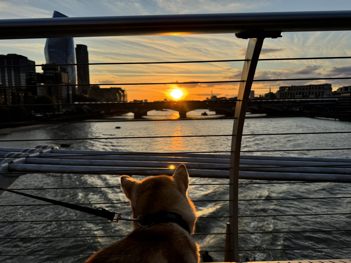 Dobby 🐾 &amp; I enjoying the sunset back in #London-wishing all a restorative #weekend 😎