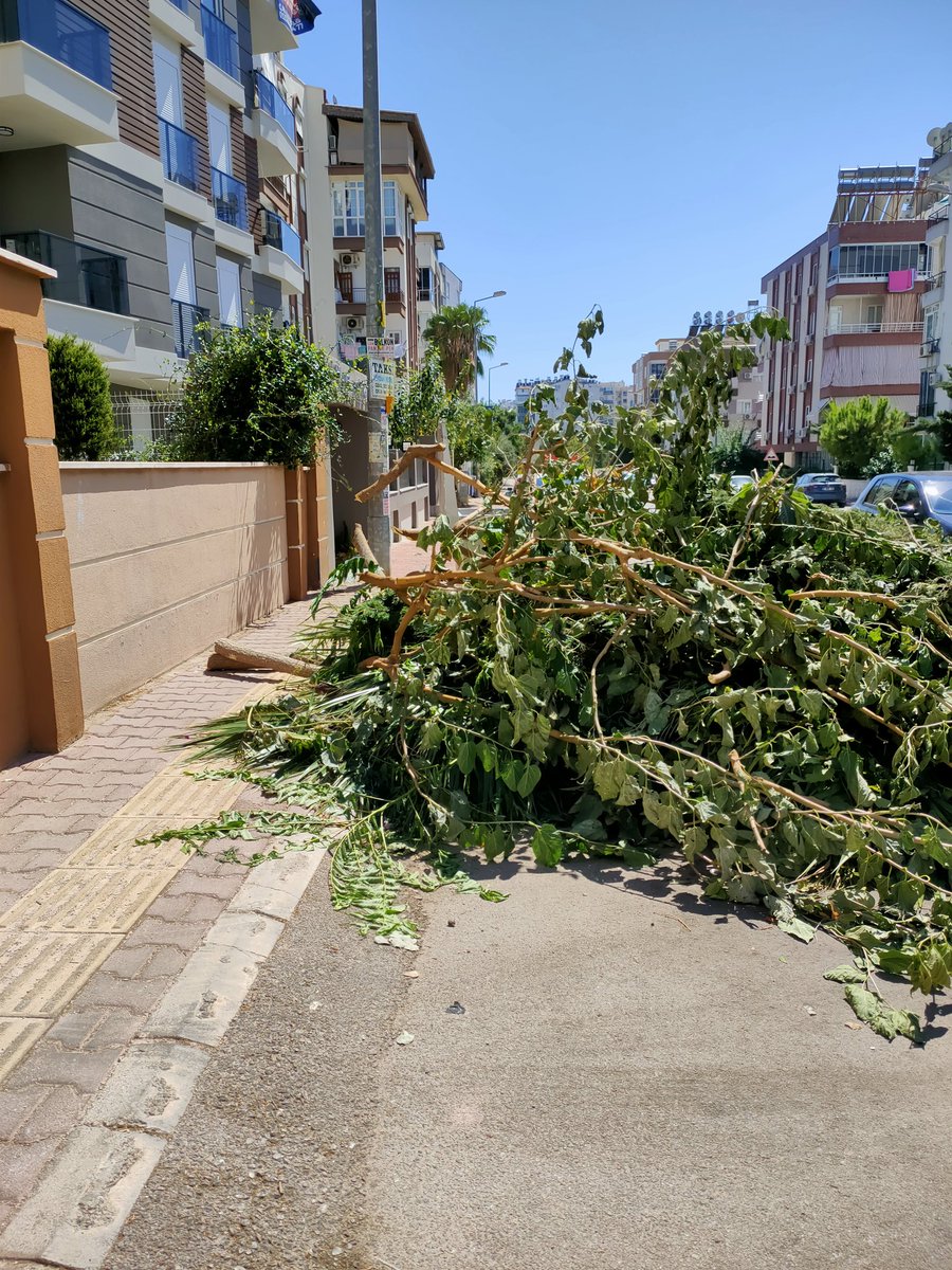 eksiboza1's tweet photo. @MuratpasaBld Meydankavağı 1561 sok. No:5 yakınındaki çöpler etrafa saçılıyor. Engelli vatandaşlar için de sorun teşkil ediyor. https://t.co/LnlBrw2lFH