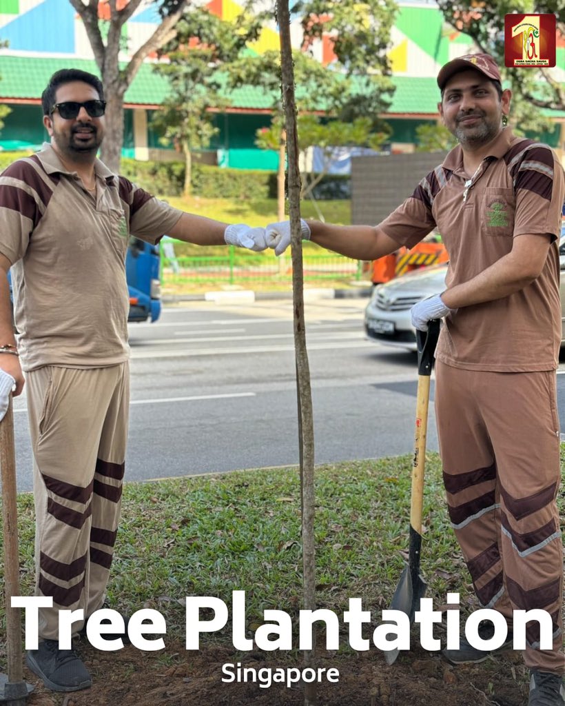 DSSNewsUpdates's tweet photo. Plant a tree, plant hope. Dera Sacha Sauda volunteers from Singapore, inspired by the teachings of Saint Dr. MSG Insan, have taken a significant step towards a greener future. With the support of local residents, they planted saplings in National Parks Board. This initiative is part of their ongoing commitment to environmental conservation and sustainable living. Let's join them in creating a cleaner, greener world. #PlantATree #SaintMSGInsan #TreePlantation