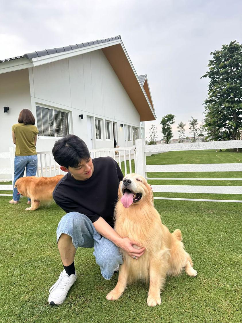 I met a gentle giant doggo and I couldn't help but wonder, how will Parker grow to be as big as this big boy? I can't wait to see him grow into his paws and fill the space and our lives with even more love.