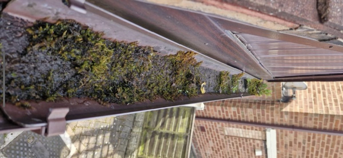 topdogwindowcl1's tweet photo. With winter not too far away and all the leaves falling ensure your gutters are empty for any rain downpours. A blockage in your gutters will cause damp in your home
Contact us today on 07535021217 or message us
#autumn #winter #guttercleaning #cleaning #home #cheap #affordable https://t.co/enF8HMbITW