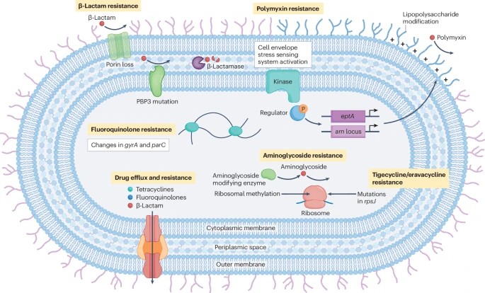 Timothy Li tweet media