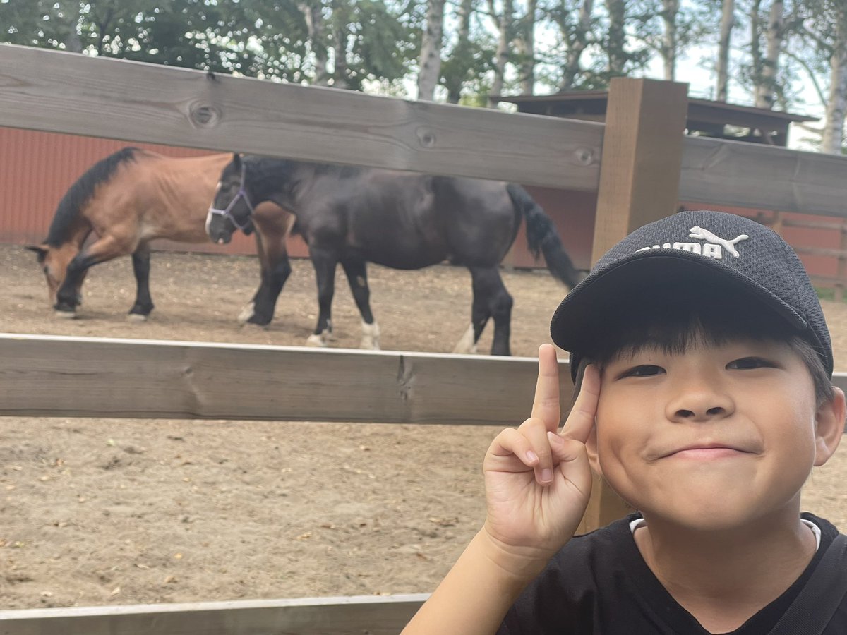 nyaapooon's tweet photo. 初帯広🐰🐴🐖
豚丼おいしかった🐖 https://t.co/d2Wcb6mmio
