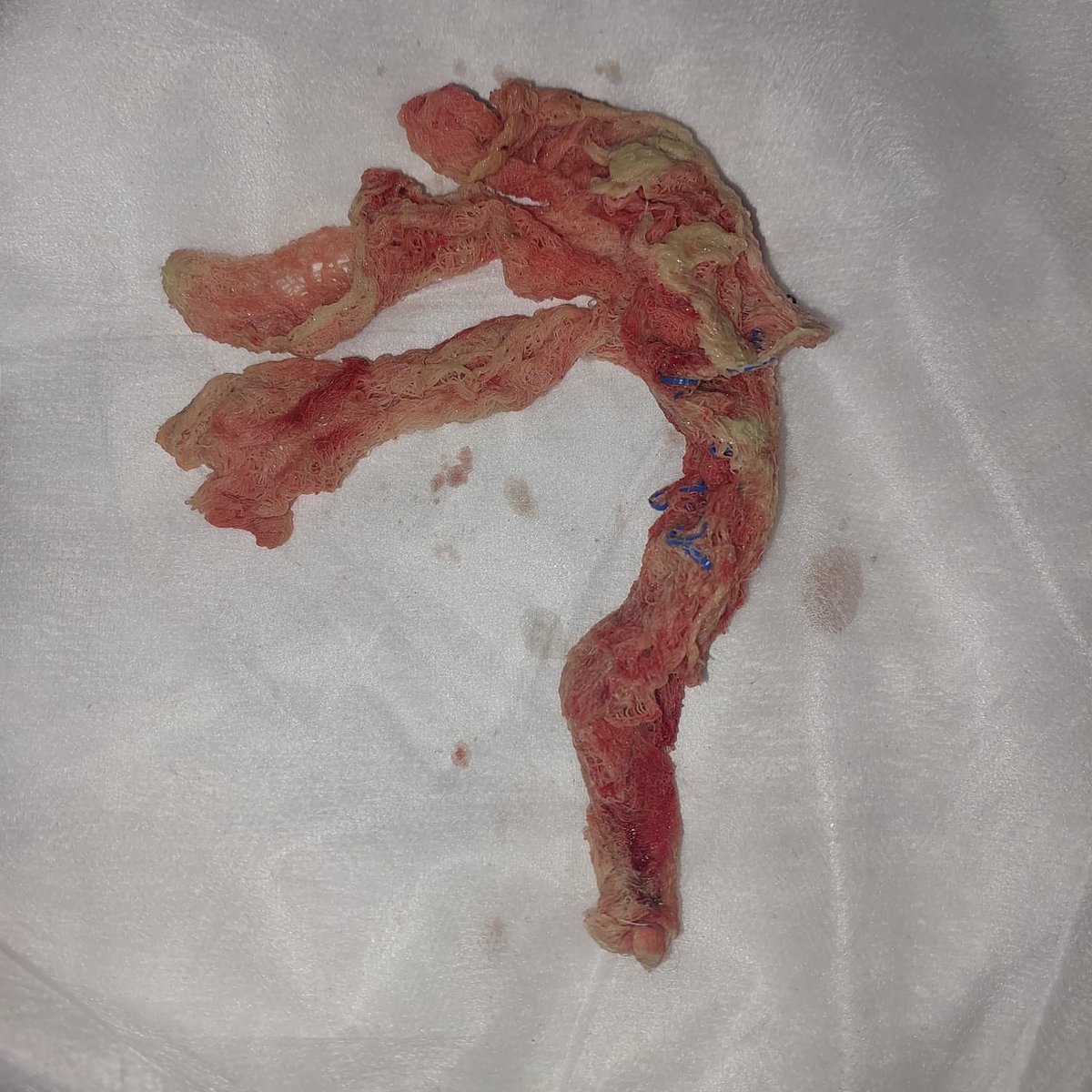 Manyawuza tweet media