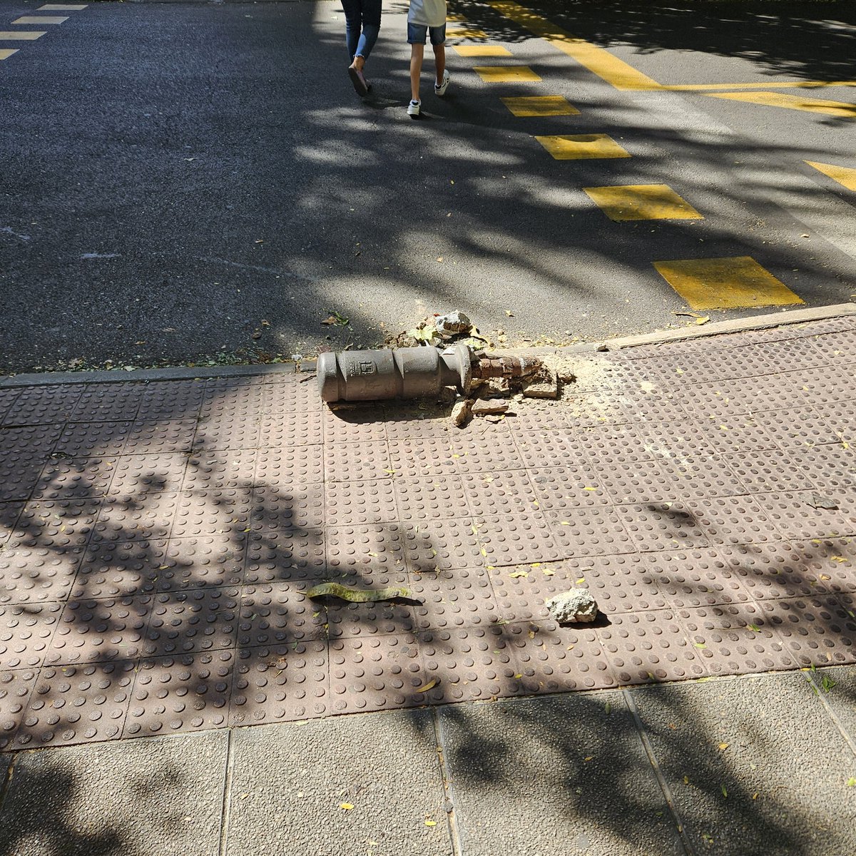 Rodrigo Pacheco Puig.- tweet media