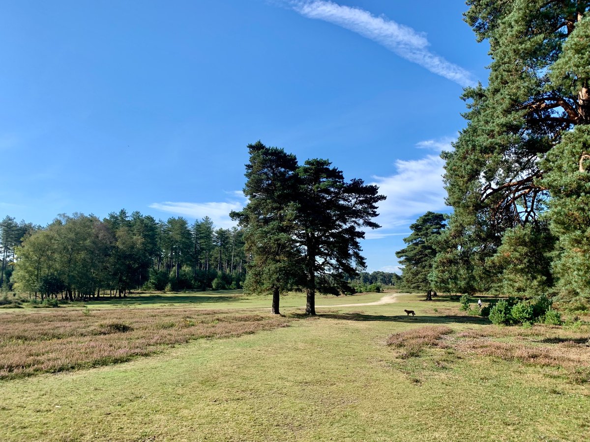 It’s a stunning September day!