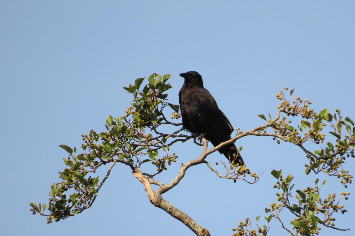 Kerende seizoenen <a href="/mooigooi/">mooigooi</a>