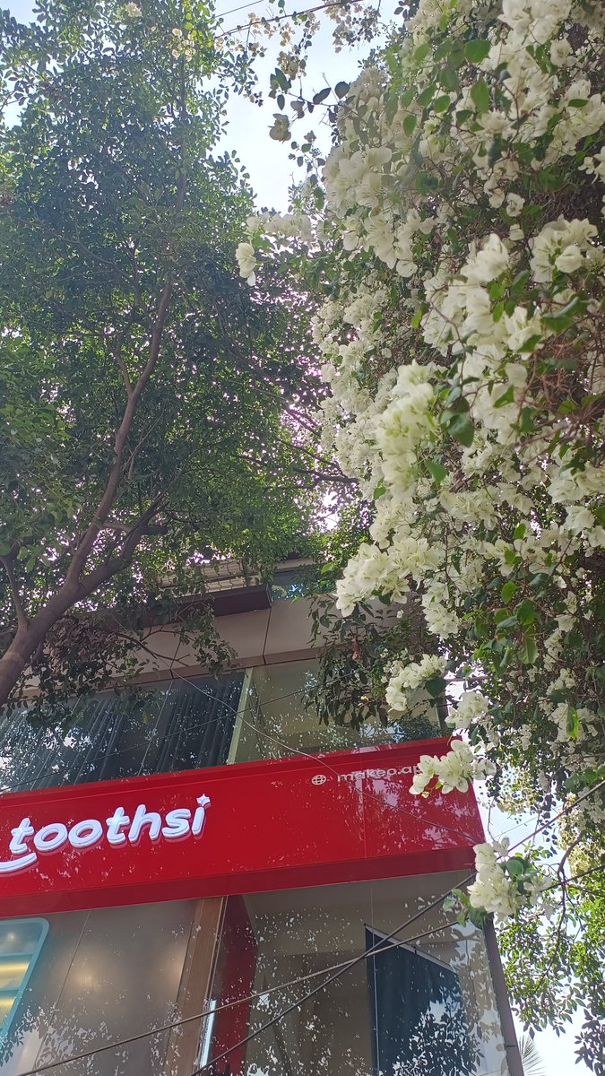 AyushiKesarwa14's tweet image. #Toothsi #Makeo