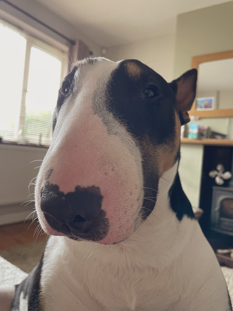 Chris Horn tweet media