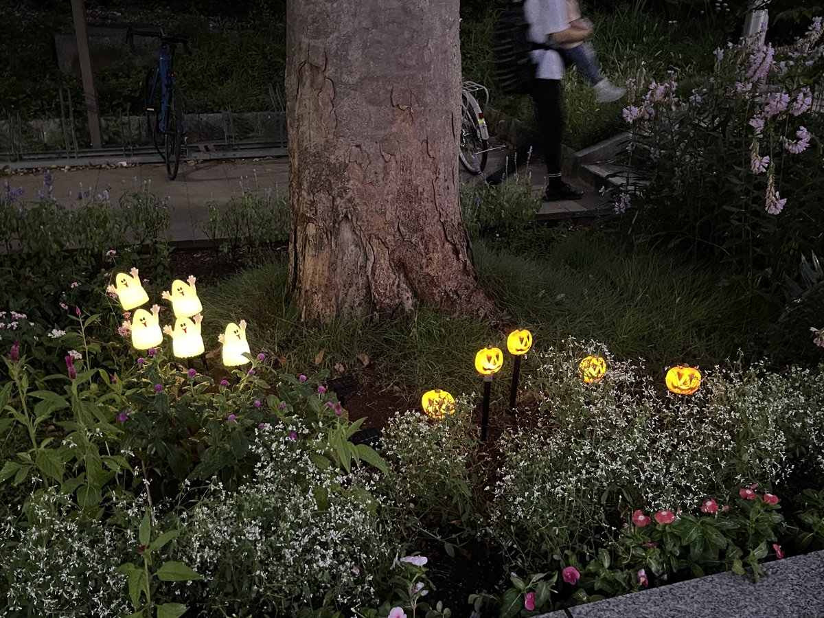 洞峰公園にハロウィンが一足早くやって来ていました！