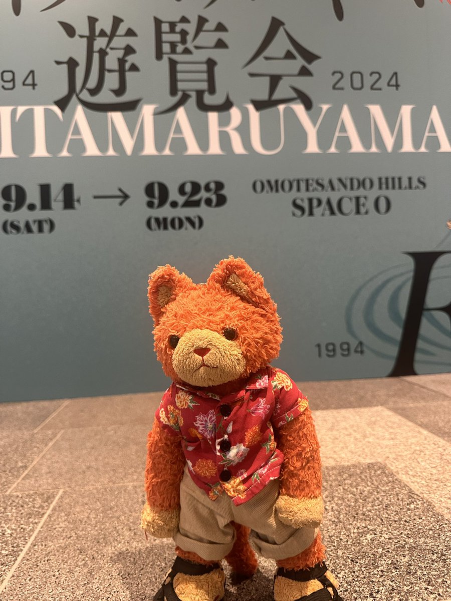 長靴を履いた猫一郎 tweet media