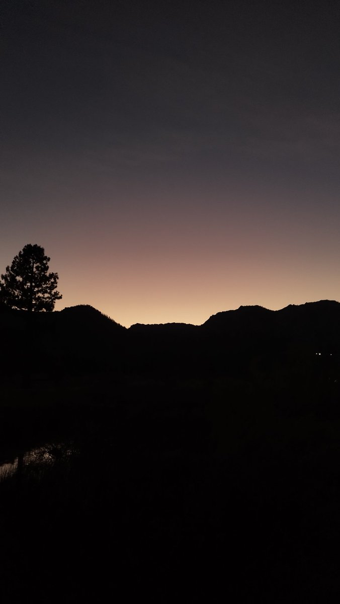 AitorJarit's tweet photo. Y voy como un pájaro en la tormenta
que no sabe pa dónde va.
La noche parece eterna, 
yo no decido lo que será.
Y la lluvia me cala dentro 
¿Y mi casa dónde estará?
La noche se queda oscura,
si no me muevo, me matará. https://t.co/4mcVP9vb0P