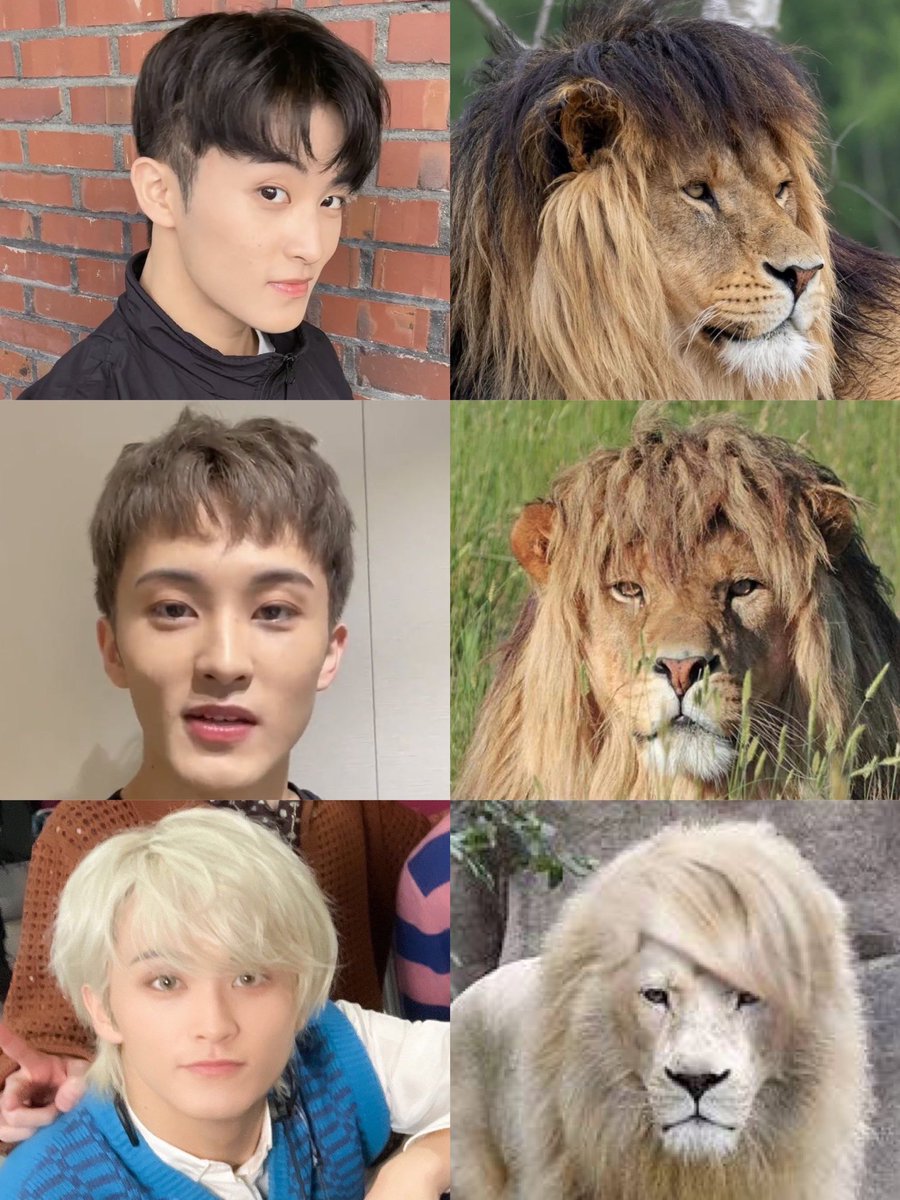 𝚑𝚊𝚙𝚙𝚒𝚗𝚎𝚜𝚜 | วิบ์มณ์ tweet media
