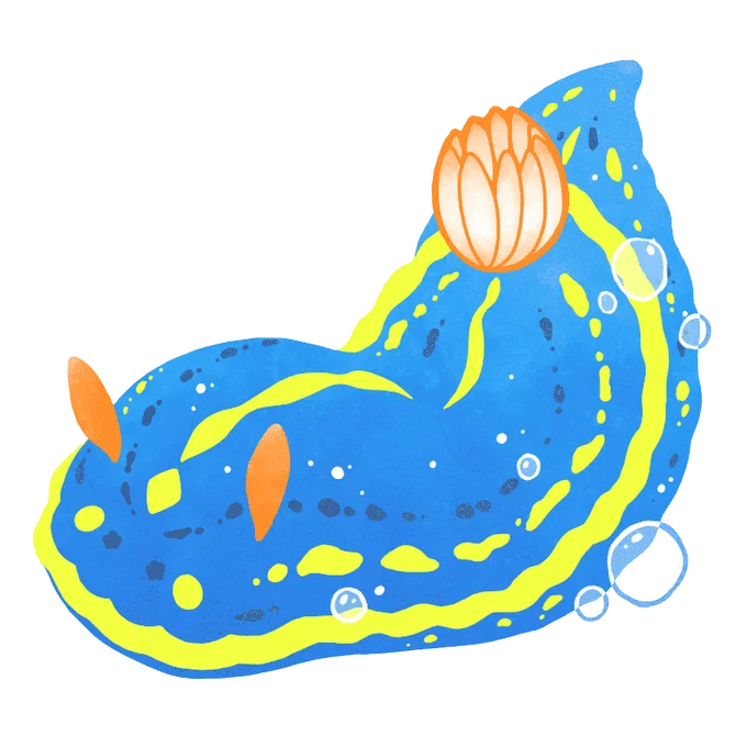 ウミウシ 