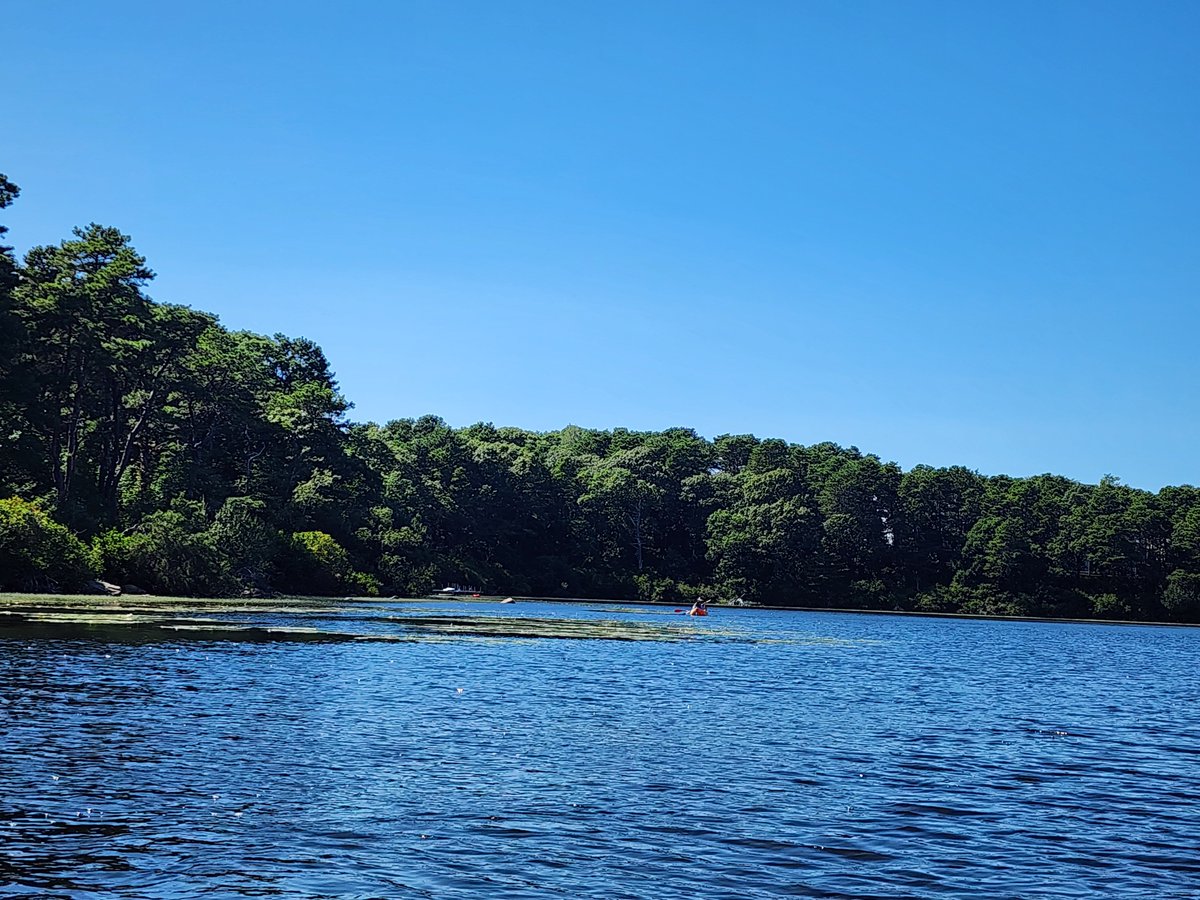 Treeboy2022's tweet image. 가을에 카약타고 놀기. ㅎㅎ 곧 저 나무들도 색이 바뀌겠구나...