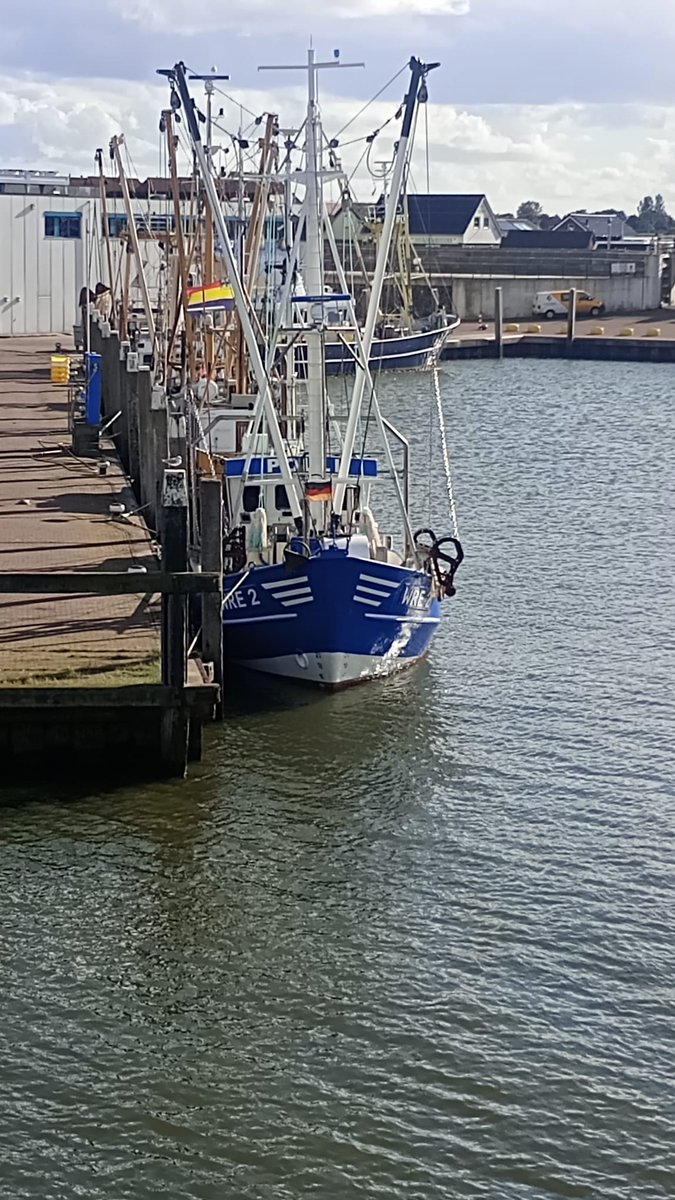 LuytGroep's tweet photo. Na 8 weken hard werken is de complexe #modernisering van de kleine Duitse #garnalenkotter WRE-2 ‘Polli’ op onze werf voltooid. Voorzien van nieuwe #LUYT #lieren en nieuwe #dekverwerkingslijn.
#LUYT #scheepswerf #DenOever https://t.co/qAGLWA4j6V