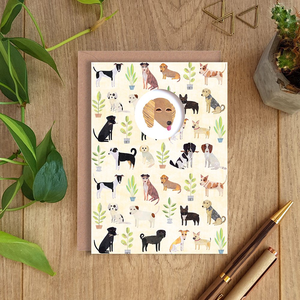 Have you seen our brand new card collection? 🌿🎉 All now available for wholesale, in the Paperwhale studio shop at The Fold &amp; online in the Paperwhale Etsy shop paperwhalecards.etsy.com 🌻🌿🐦🌿🐿🌿🐸🌿🐢🌿🐕🌿🐈🌿🦋 Which is your favourite?