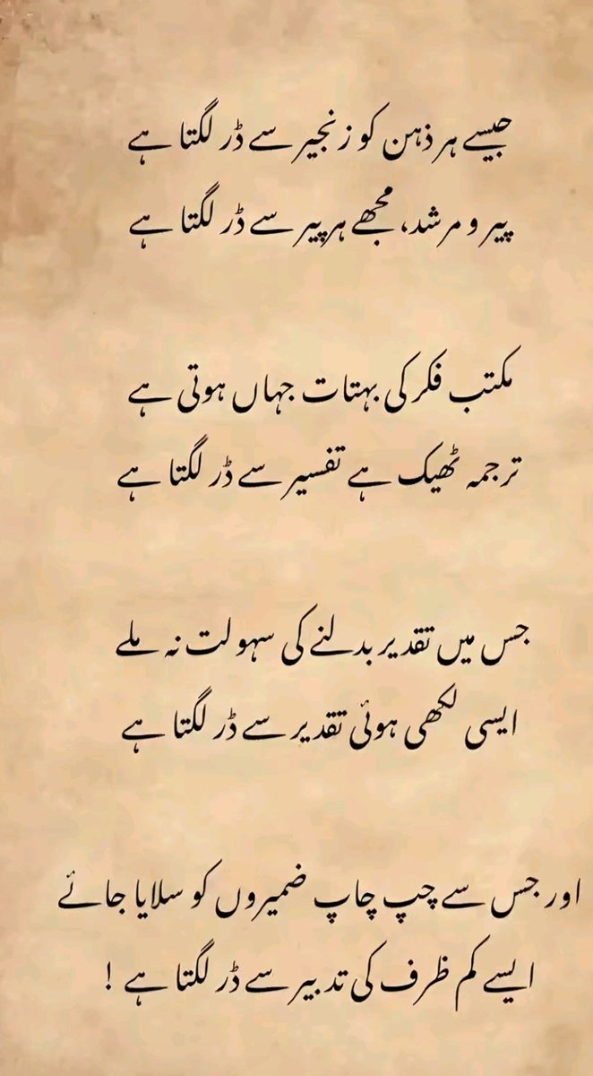 sofiawritten's tweet image. Good evening 🪷