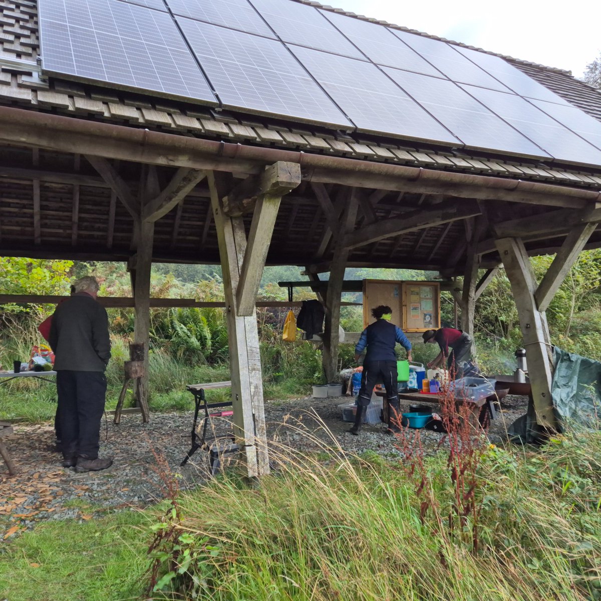 ACTinArgyll's tweet photo. πΏ Come Down Today β Free Rainforest Experiences!
Weβre at @ArgyllBeavers with a full day of free rainforest activities! π³
π Today until 4 PM
Join us for forest bathing, music, soup and fire, woodworking & more. Donβt miss out on the fun!
#ScotlandsRainforest #ExploreArgyll https://t.co/9KMT3HKScg