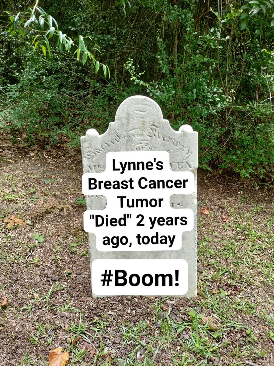 Commoncorediva's tweet image. Marking 2 years of being free.
It&apos;s a dream of mine to make a fun photo celebrating the death of top down control in education!
#commoncore #garbage