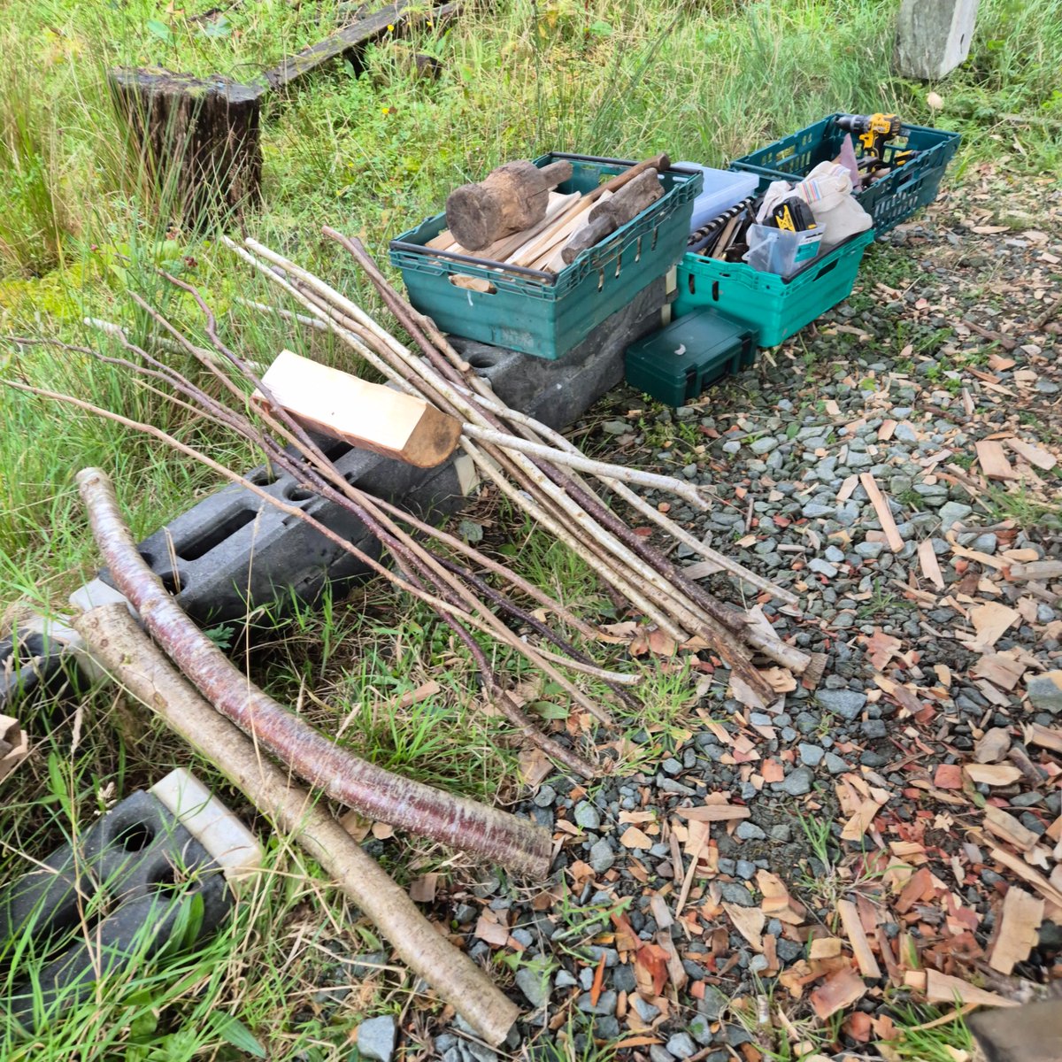 ACTinArgyll's tweet photo. πΏ Come Down Today β Free Rainforest Experiences!
Weβre at @ArgyllBeavers with a full day of free rainforest activities! π³
π Today until 4 PM
Join us for forest bathing, music, soup and fire, woodworking & more. Donβt miss out on the fun!
#ScotlandsRainforest #ExploreArgyll https://t.co/9KMT3HKScg