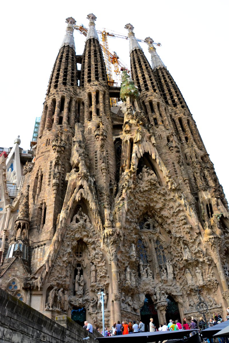 linktonian's tweet image. Four random photos apropos of nothing

#photography 
#randompics