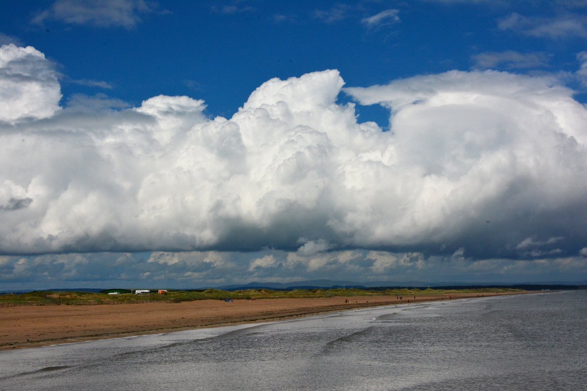 linktonian's tweet image. Four random photos apropos of nothing

#photography 
#randompics