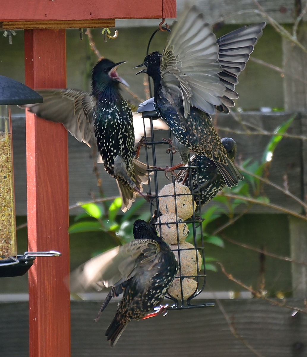 linktonian's tweet image. Four random photos apropos of nothing

#photography 
#randompics