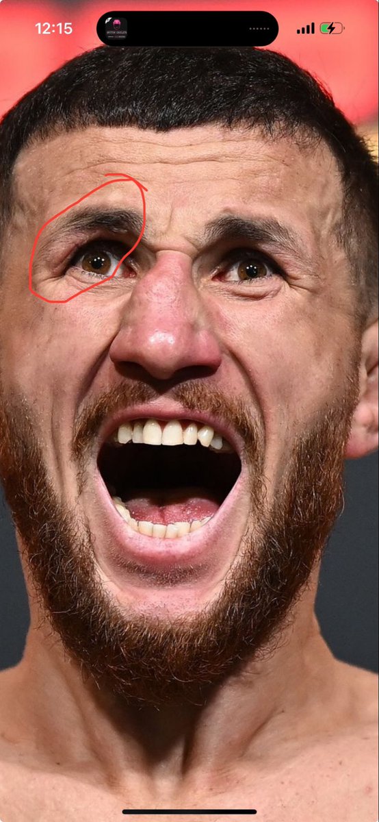 Casual MMA tweet media