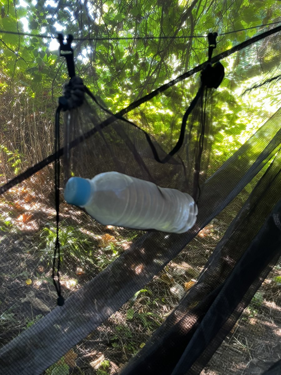 zenhike's tweet photo. BTG ARTEMIS hammock

スケスケのARTEMISに合わせて
スケスケのギアスリングとスケスケのリッジラインオーガナイザーを導入
どちらもLELEKA hammock

#ハンモック #hammock #ARTEMIShammock #bluetraversegear @bluetraverse_g #LELEKAhammock https://t.co/LrPWFMvSqq
