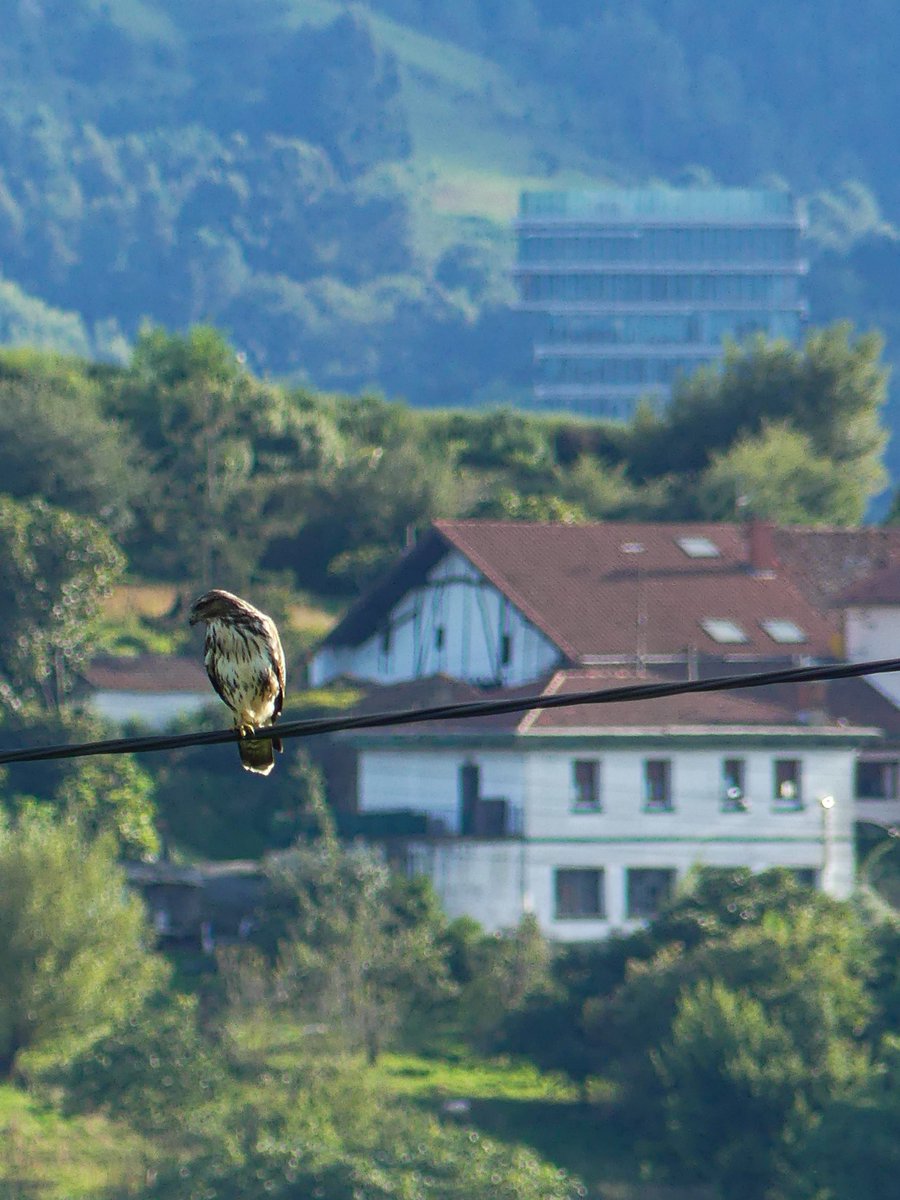 lukamelart's tweet photo. "Bilbo Handian" topatu daitezkeen estanpak: lehen urteko Zapelatz arrunta, XVII. mende aurreko baserri arketipikoa eta XXI. mendeko BEC.
#Buteo #baserria https://t.co/HKTPtI1ICd