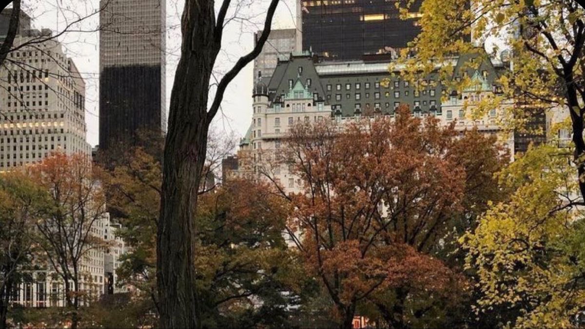 ⭑ MUSE 𖥔 ݁ ˖ tweet media