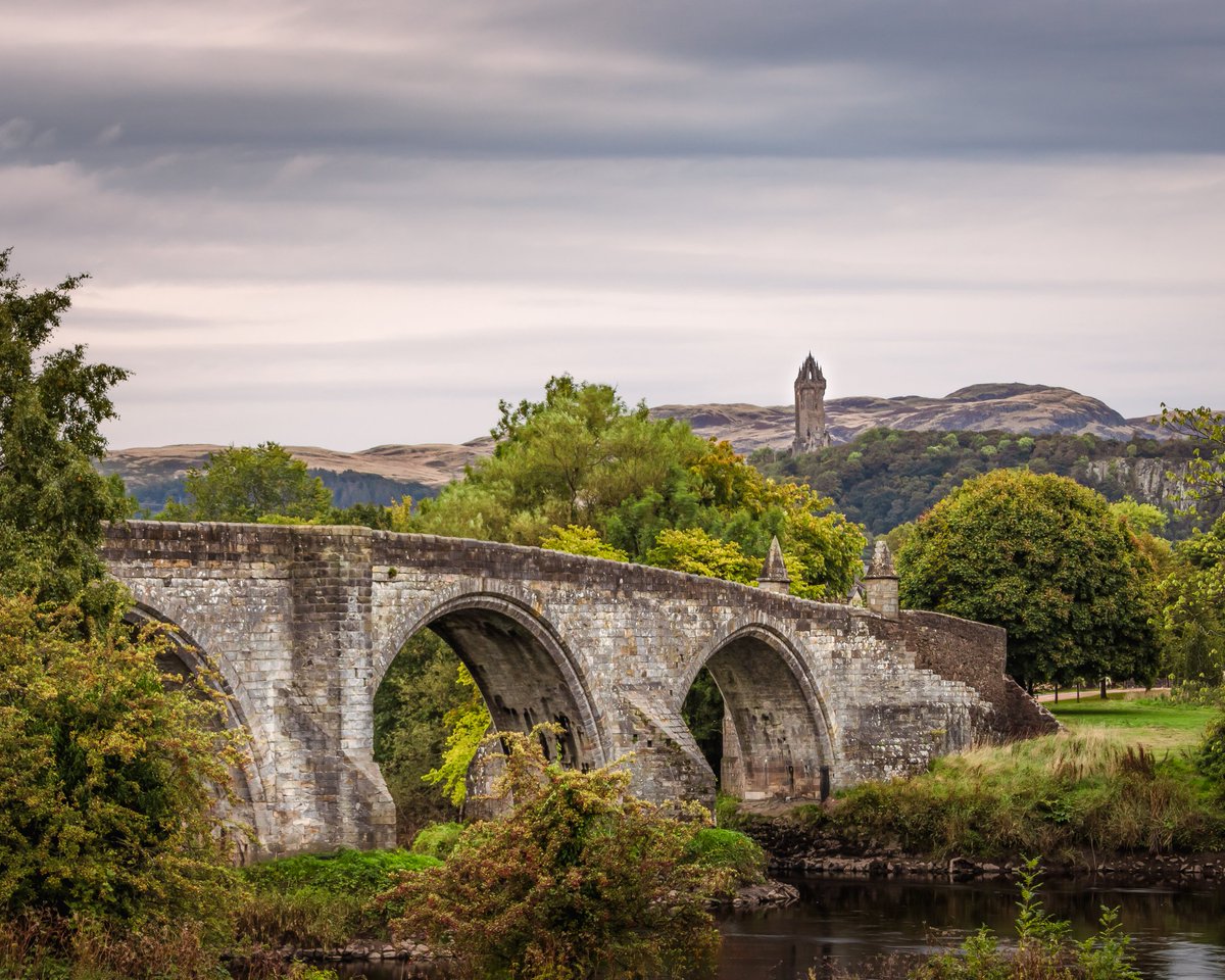 TrueNorthCaptures tweet media