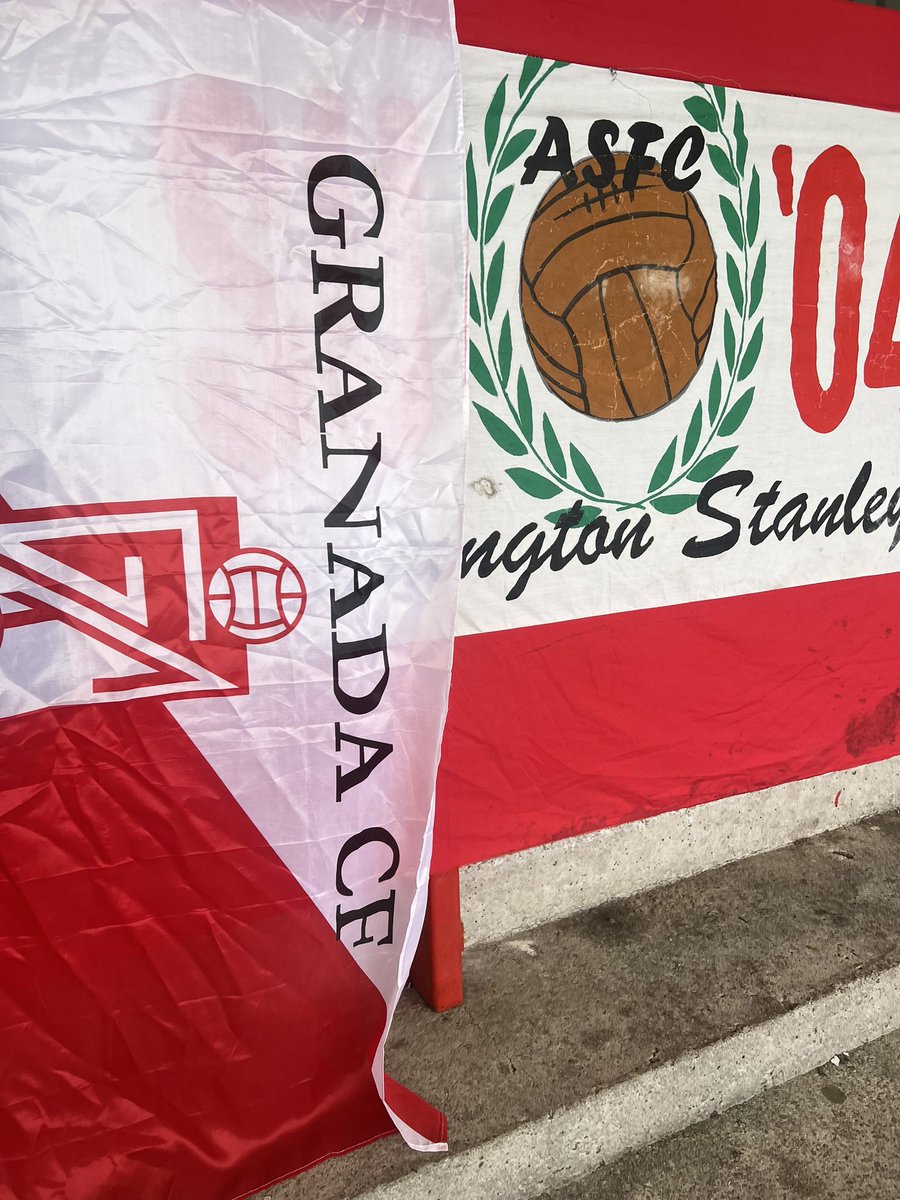 ForzaAccy tweet media