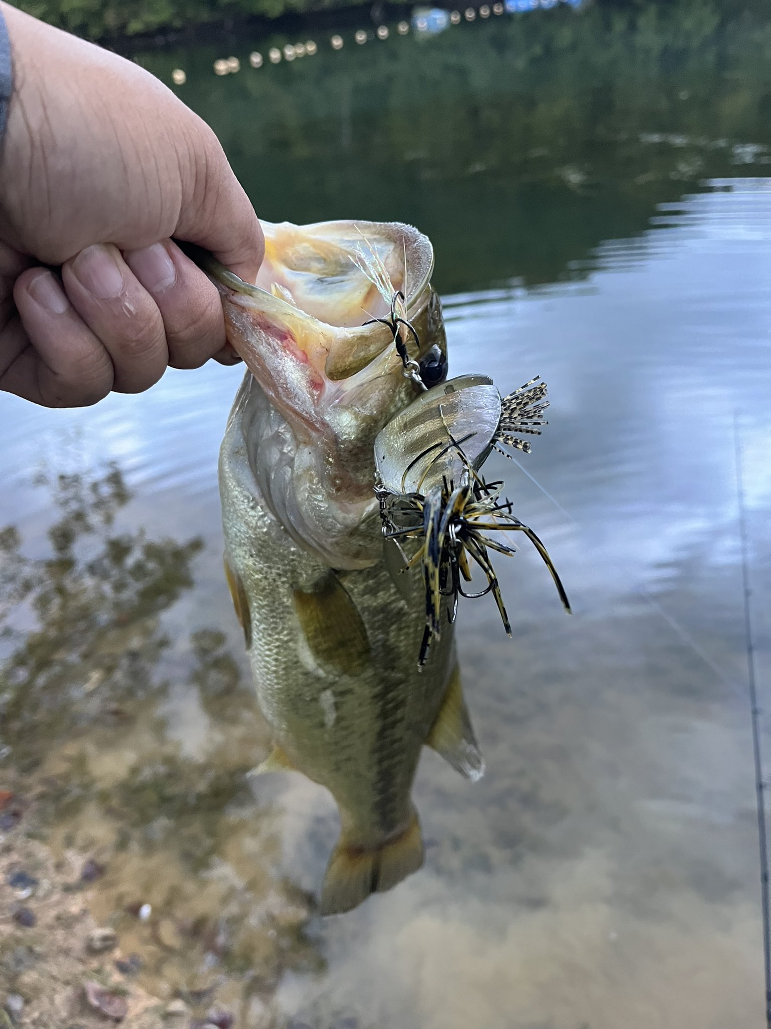 JJ出品です‼️ミノー４本 S-gravityy-minnow95-001.jpg