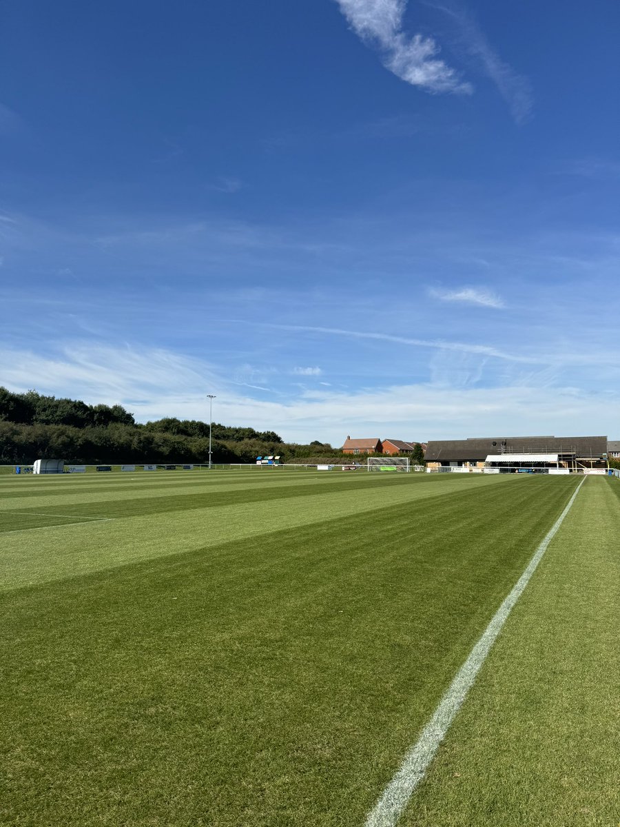 George Starling tweet media